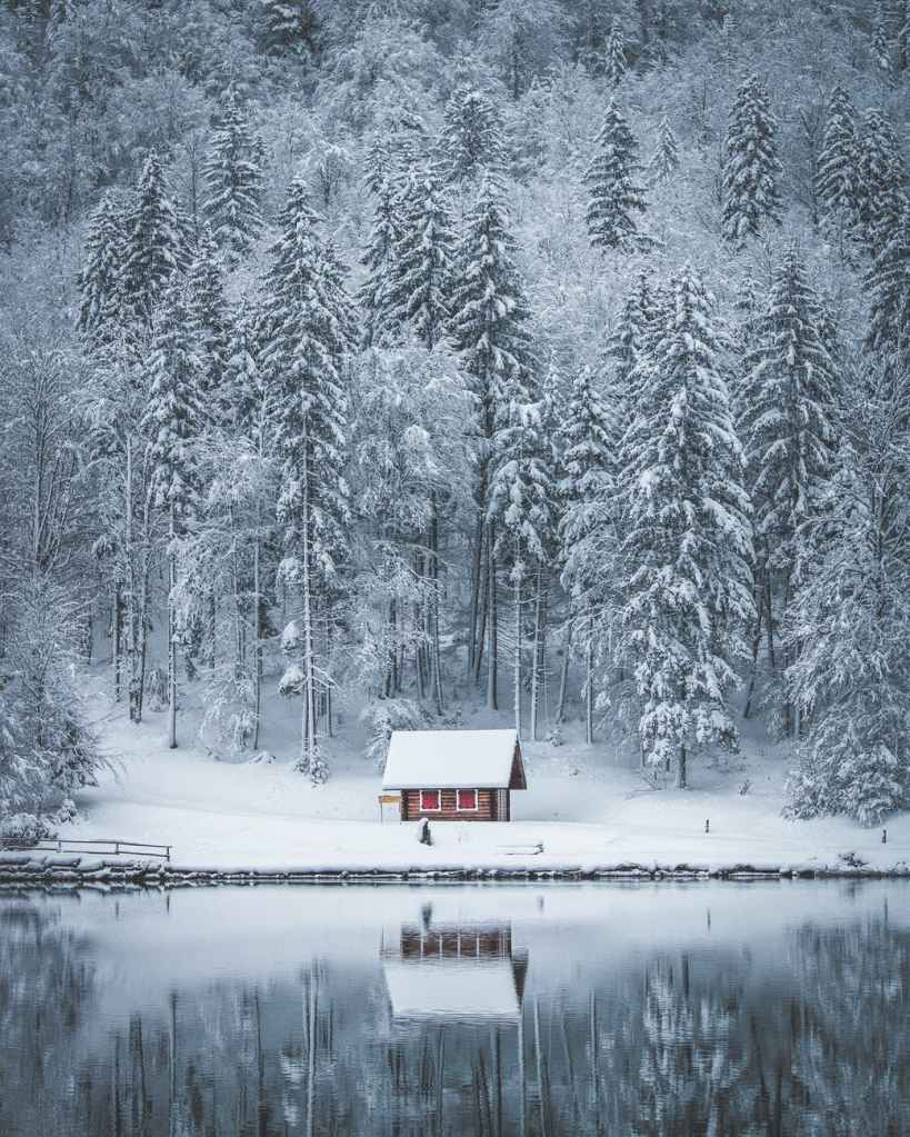 house field and tree covered with snow near body of water