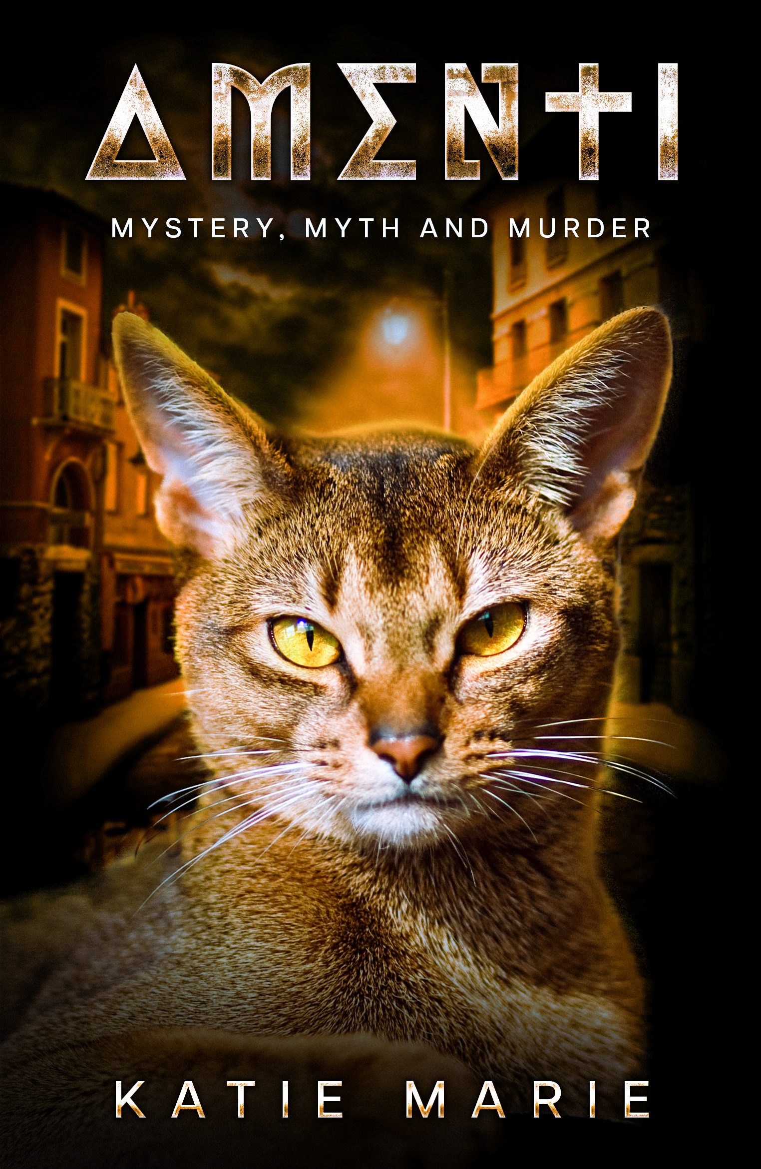 katie-me-robinson_ebook