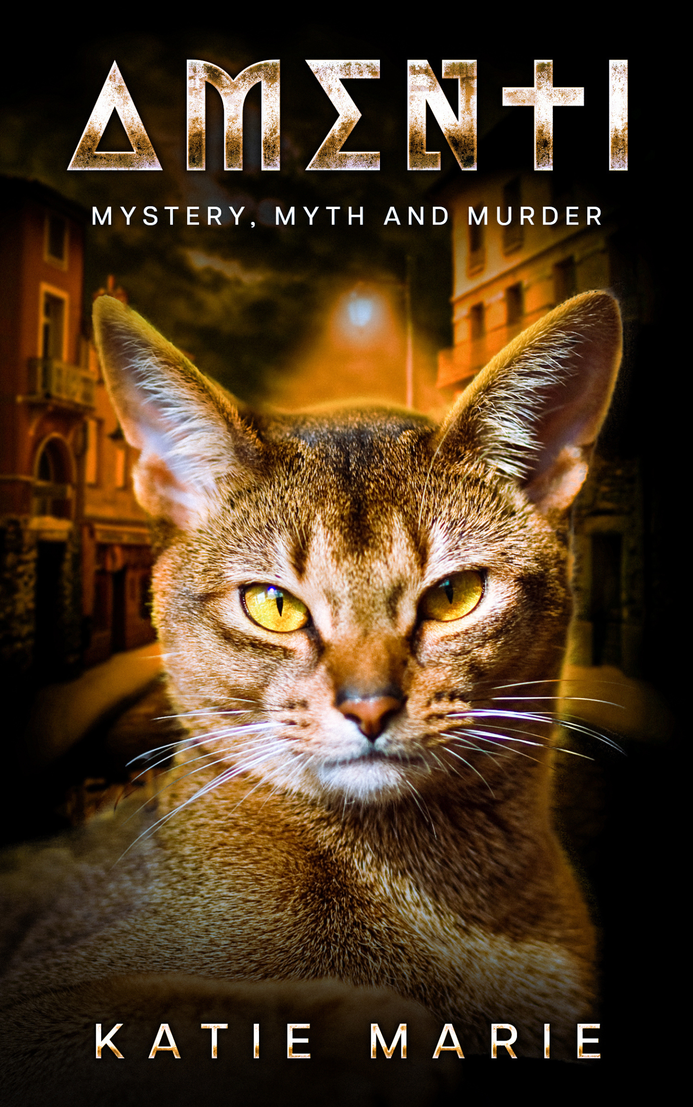 Amenti book cover - title and image of Abyssinian cat