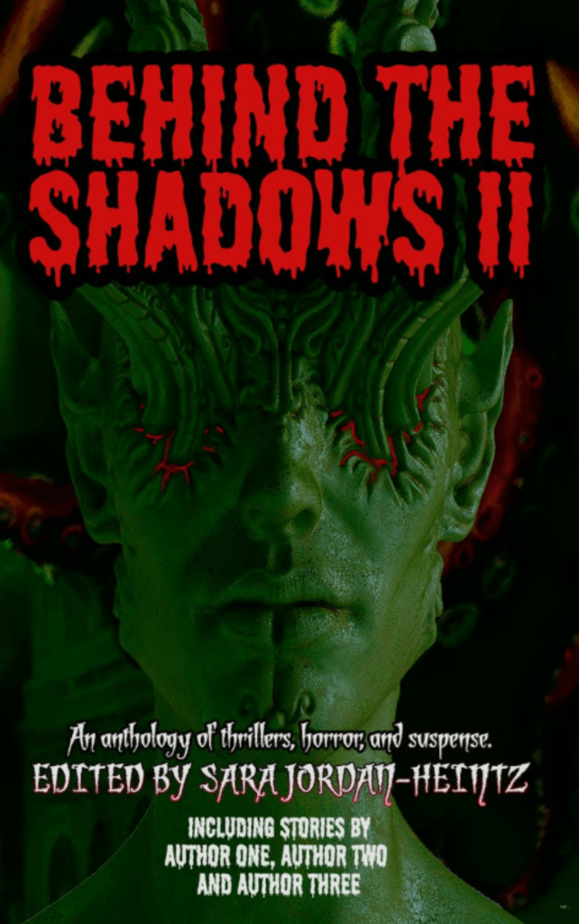 Behind Shadows2 Book cover showing distorted face